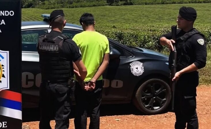 Recuperó la libertad y volvió a ser detenido por otro robo