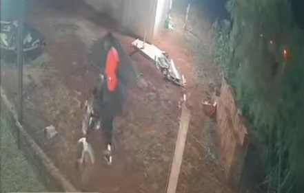 En apenas 50 segundos se robaron una moto de una casa en Guaraní