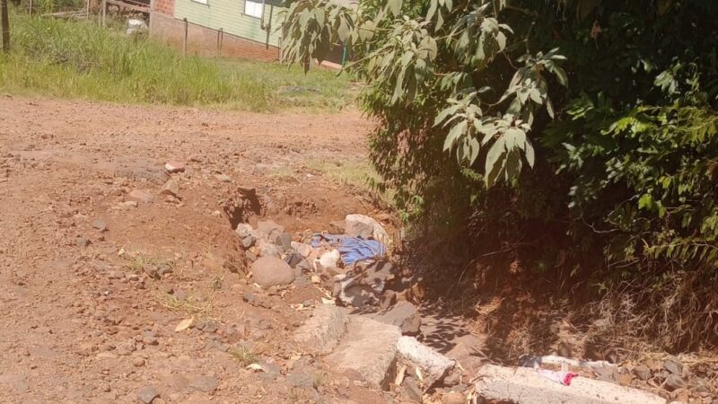 Vecinos de Villa Barreyro 2 reclaman arreglo de calles y desmalezamiento de baldíos