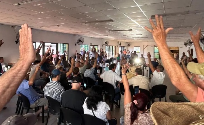 Crisis yerbatera: paralizaron la cosecha por tiempo indefinido por falta de precio