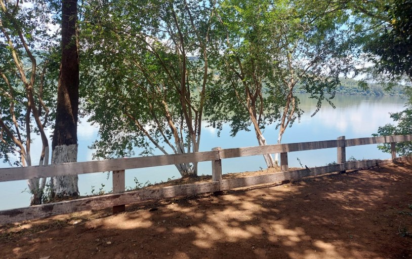 Mataron un venado a palazos frente a niños en el camping municipal de Panambí