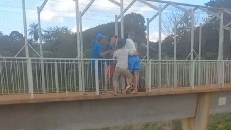 Amigos evitaron que un menor salte desde el puente peatonal de la 14, en Villa Martos