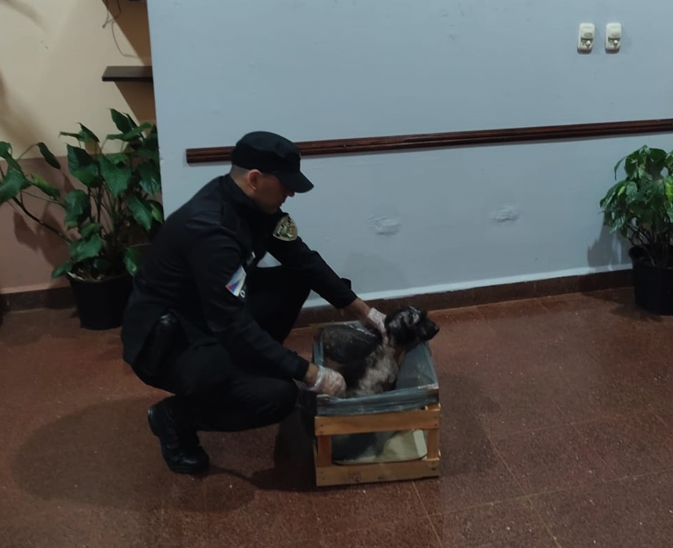 Otro perrito rescatado por el compromiso ciudadano y policial