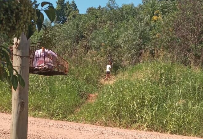 “Es un aguantadero de cosas robadas y drogadictos”: reclamo vecinal por un amplio baldío en Caballeriza