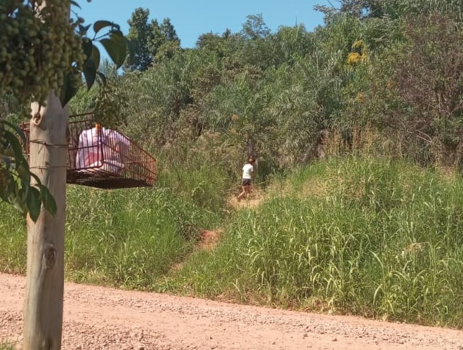 “Es un aguantadero de cosas robadas y drogadictos”: reclamo vecinal por un amplio baldío en Caballeriza
