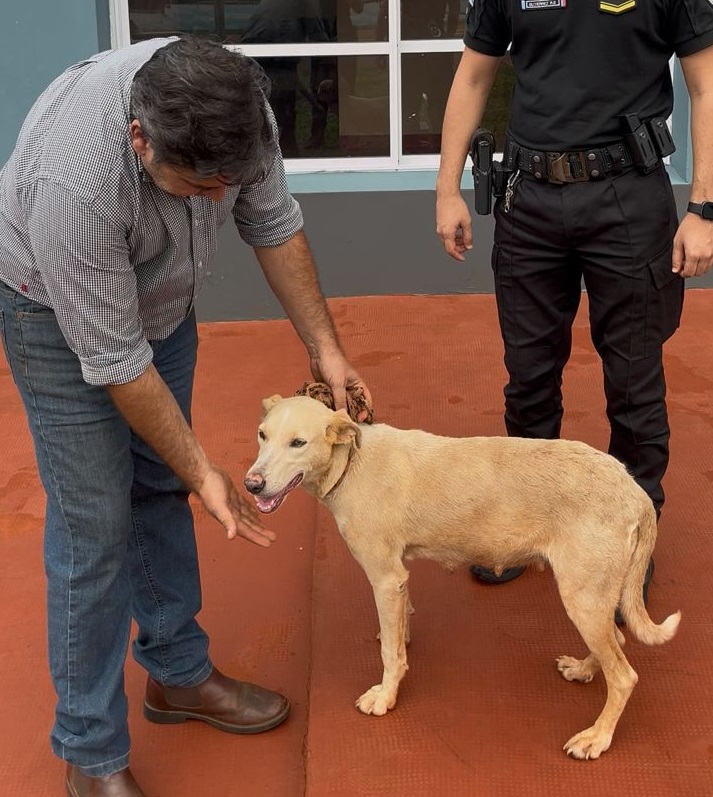Un final feliz: viajó desde Posadas para adoptar a la perrita abandonada en Campo Viera