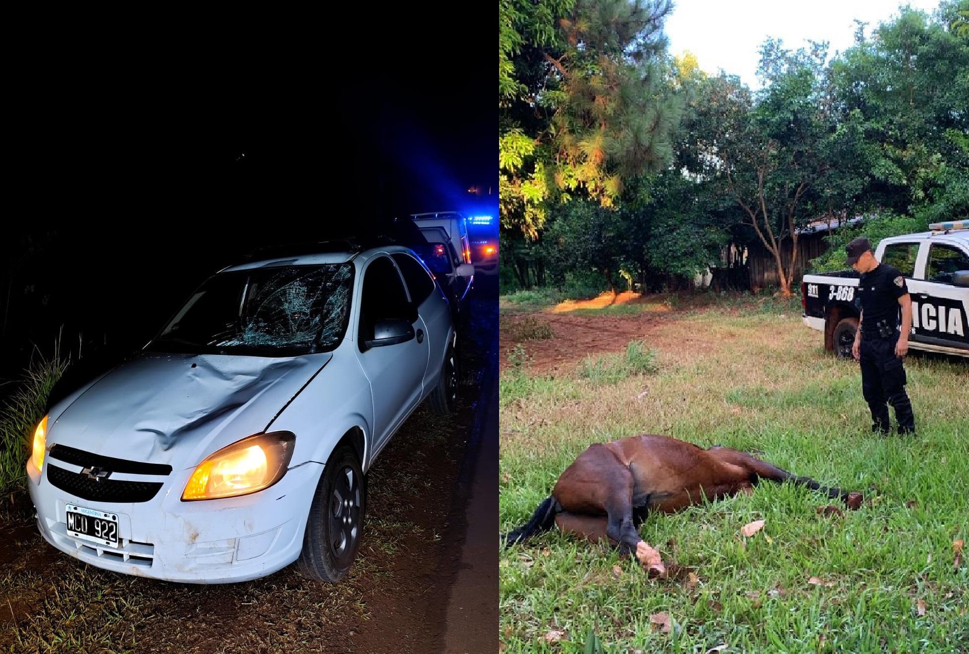 Conductora atropelló y mató a una yegua en Picada Sarmiento de Oberá