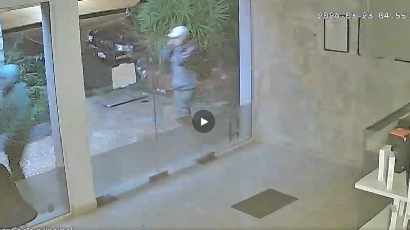 Quisieron robar un local de tecnología, pero los corrieron los perros: parte de la secuencia fue grabada