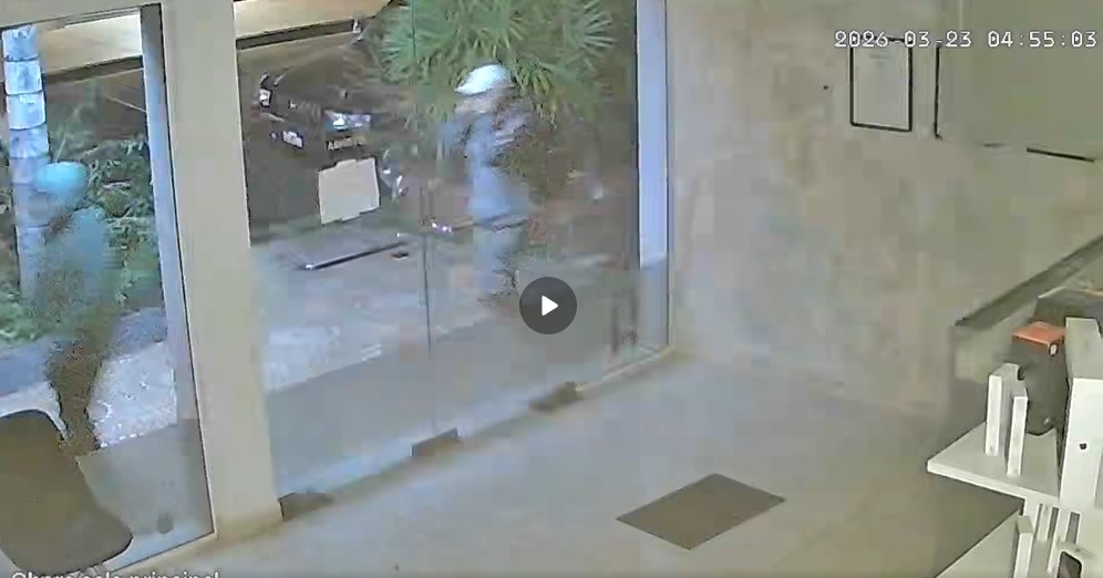 Quisieron robar un local de tecnología, pero los corrieron los perros: parte de la secuencia fue grabada