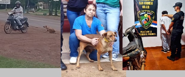 Detuvieron a un hombre por arrastrar a un perro con su moto en San Ignacio