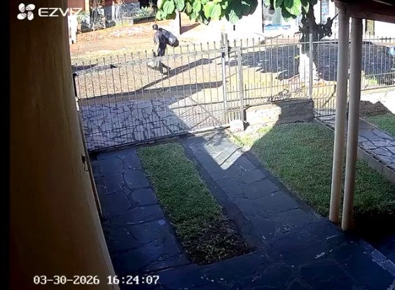 Las cámaras registraron el accionar de un ladrón que robó en una peluquería