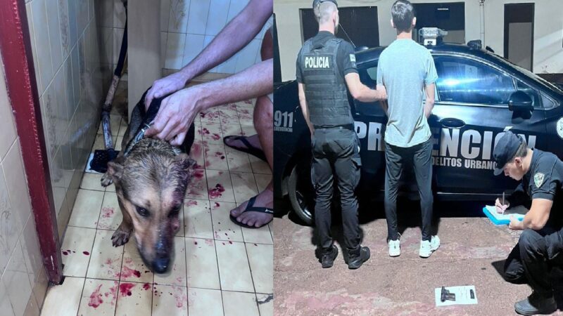 Detuvieron a un hombre que le disparó al perrito de su vecina en pleno centro de Oberá