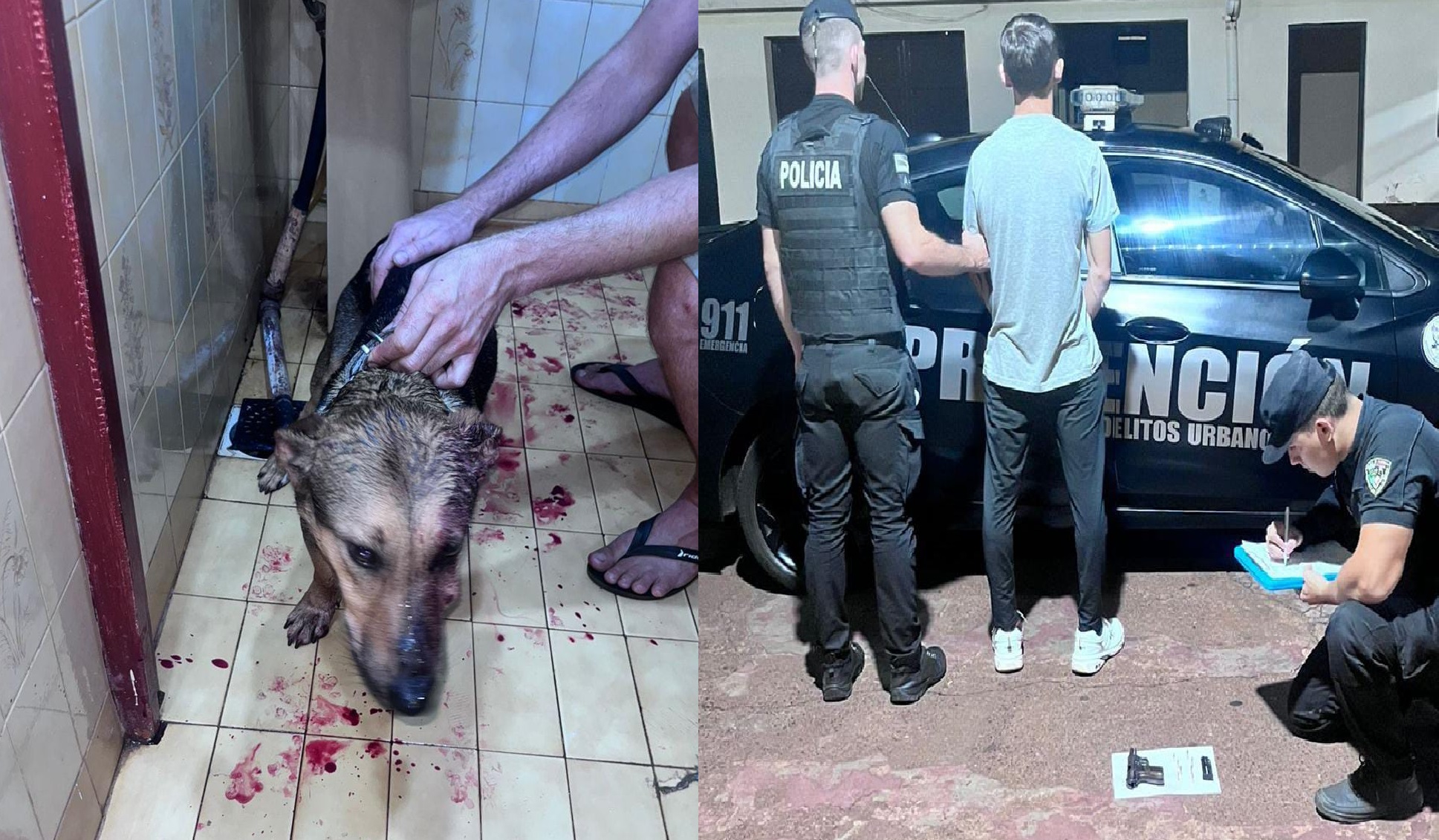 Detuvieron a un hombre que le disparó al perrito de su vecina en pleno centro de Oberá