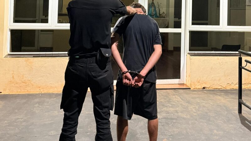 Fue a comprar al kiosco y aprovechó un descuido para robar una billetera en Cien Hectáreas