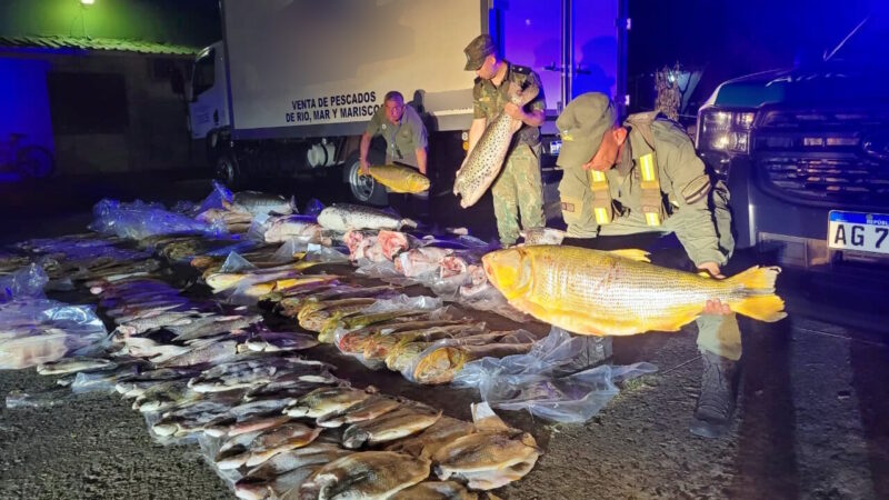 Gendarmería secuestró 720 kilos de pescado que fueron quemados: habiendo tantas familias con necesidades