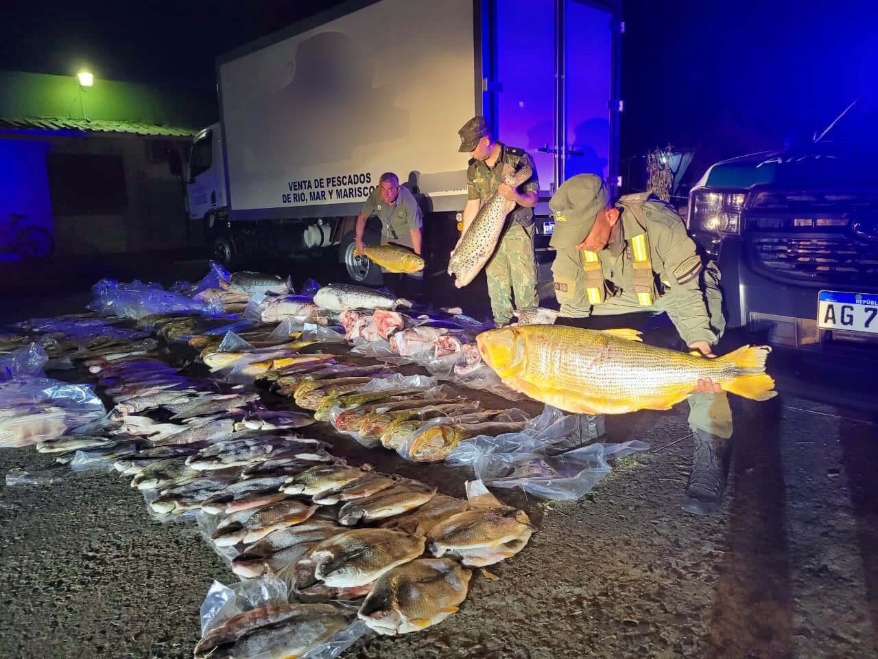 Gendarmería secuestró 720 kilos de pescado que fueron quemados: habiendo tantas familias con necesidades