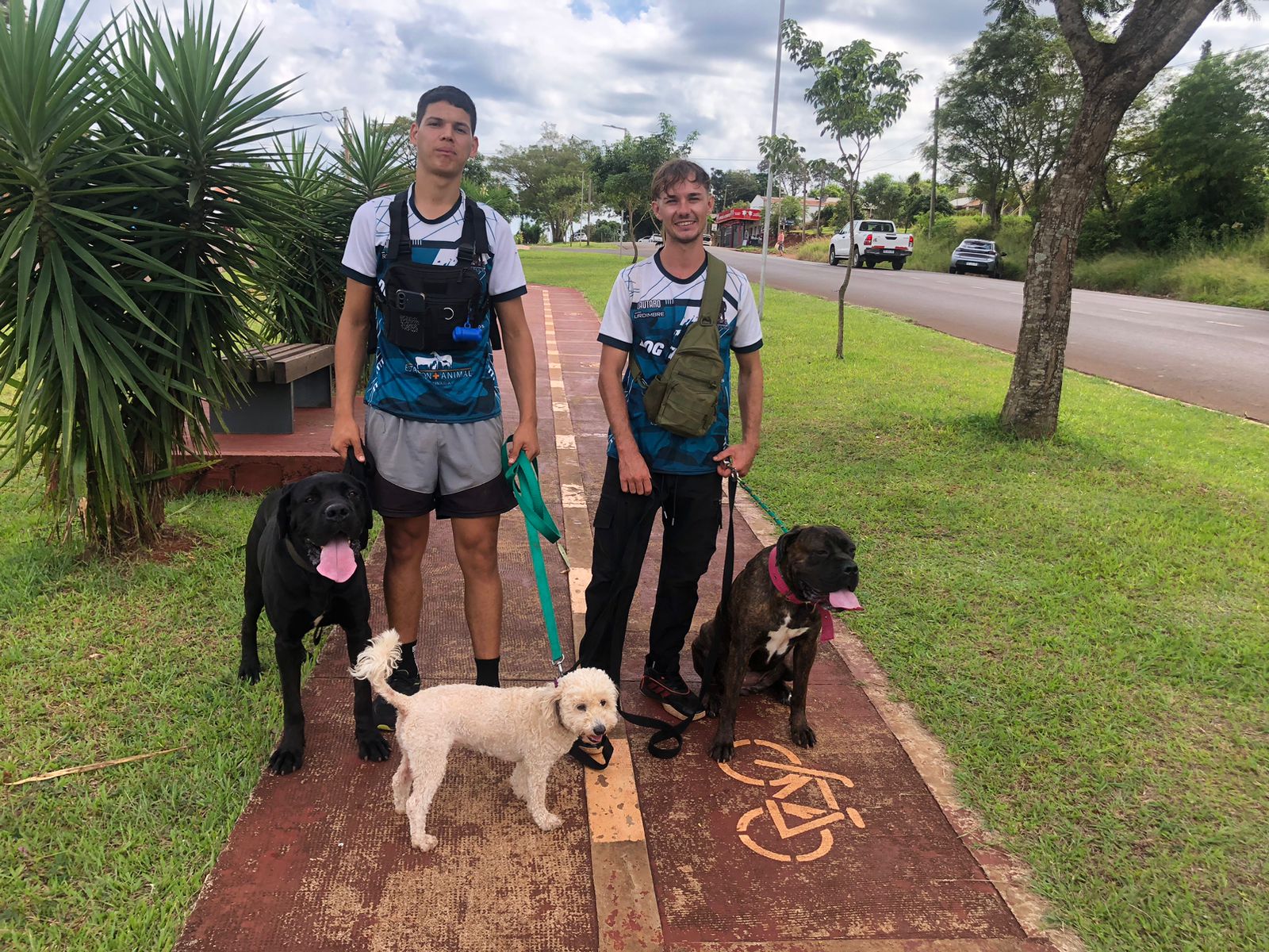 «El boca a boca nos ayudó mucho a crecer»: paseadores de perros con responsabilidad y capacitación