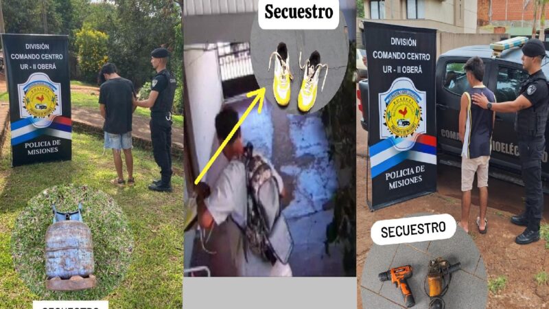 Roban hoy, los detienen mañana y salen pasado: el drama de los rateros en Oberá