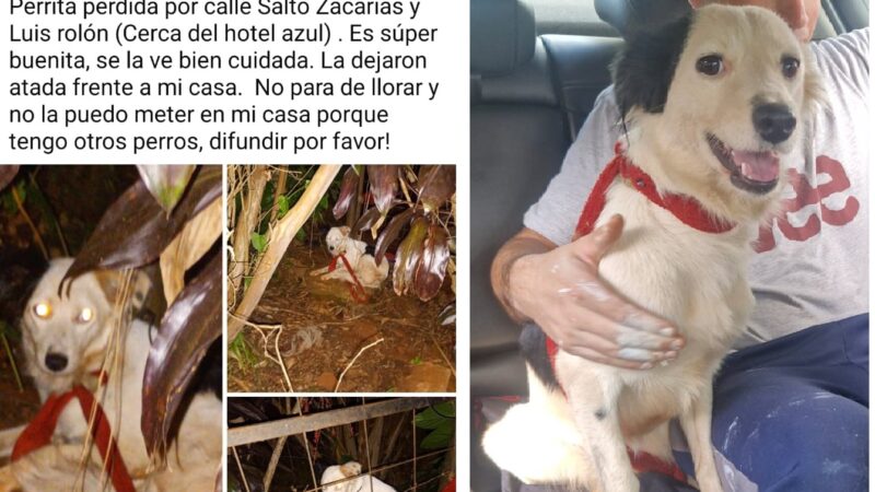 «Luna» fue rescatada y un agente la adoptó