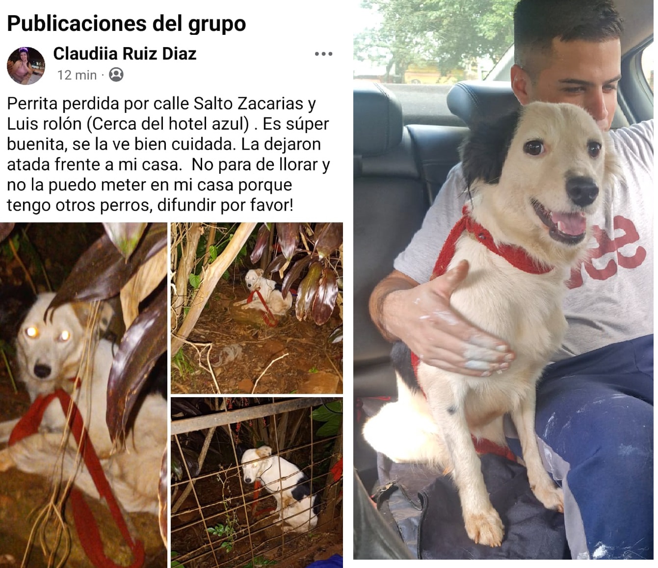 «Luna» fue rescatada y un agente la adoptó