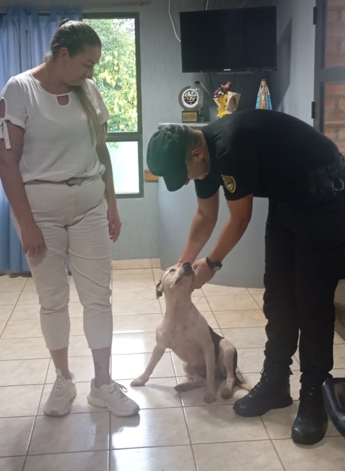 Una perra perdida en Santa Rita apareció en la comisaría de Alvear y fue restituida a su familia