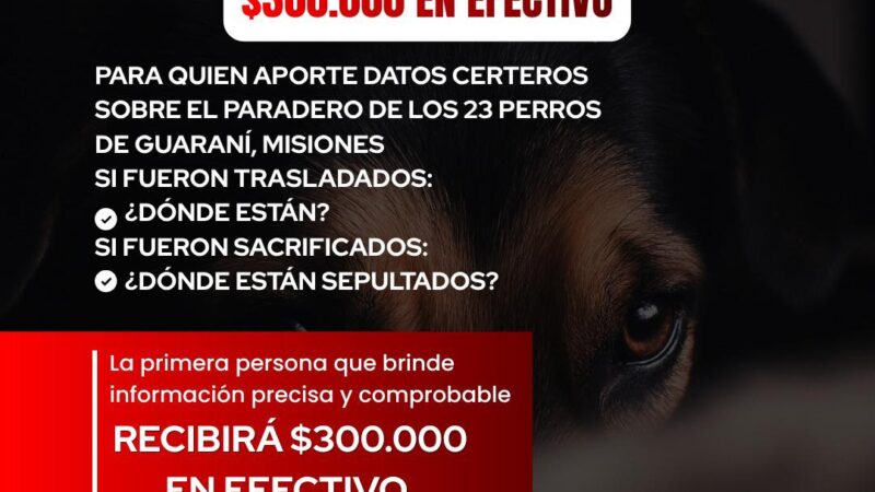Ofrecen 300 mil pesos de recompensa por datos sobre el destino de los 23 perros desaparecidos en Guaraní