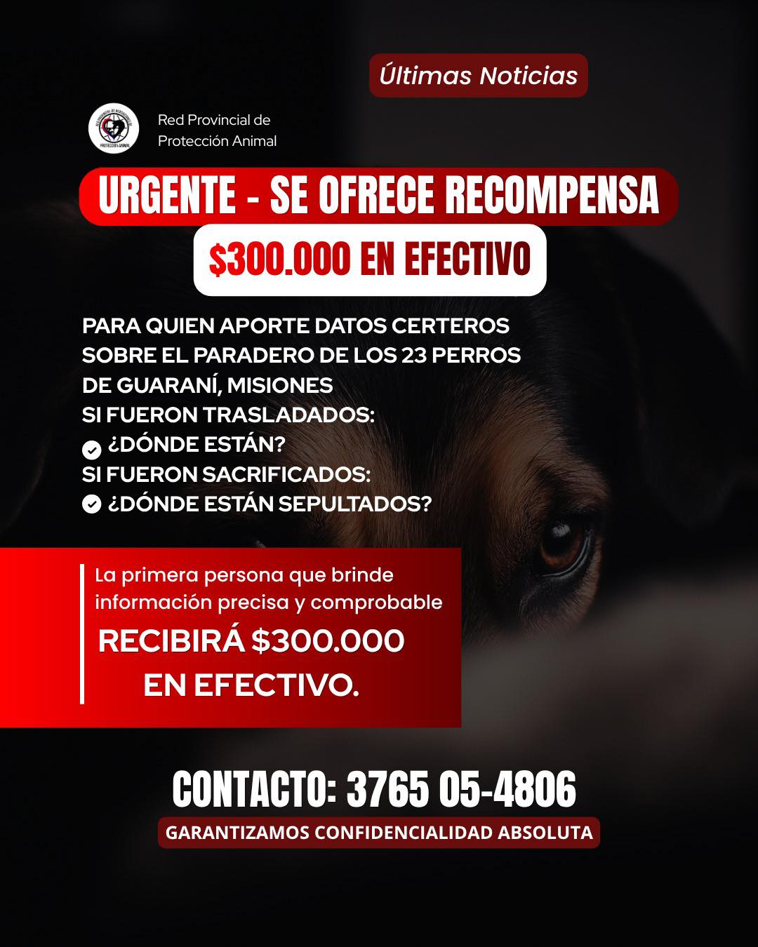 Ofrecen 300 mil pesos de recompensa por datos sobre el destino de los 23 perros desaparecidos en Guaraní