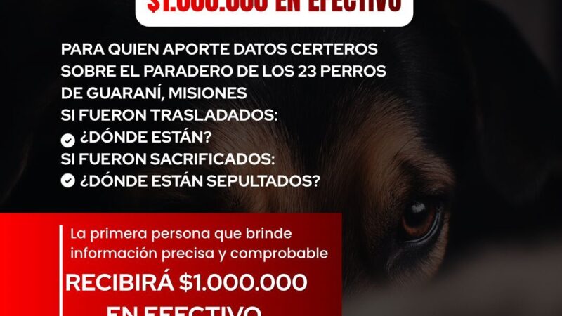 Elevaron a un millón de pesos la recompensa por datos sobre los perros desaparecidos en Guaraní