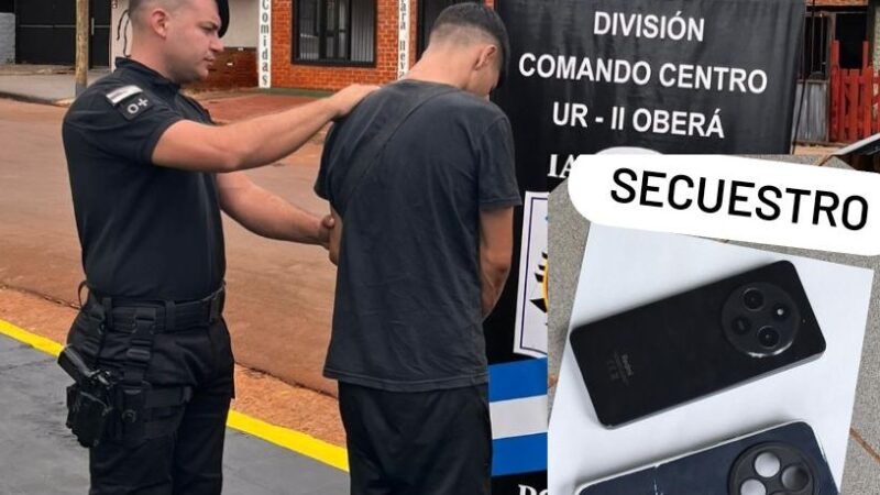 Fue a pedir trabajo, no le dieron y aprovechó para robar un celular: buen currículum  