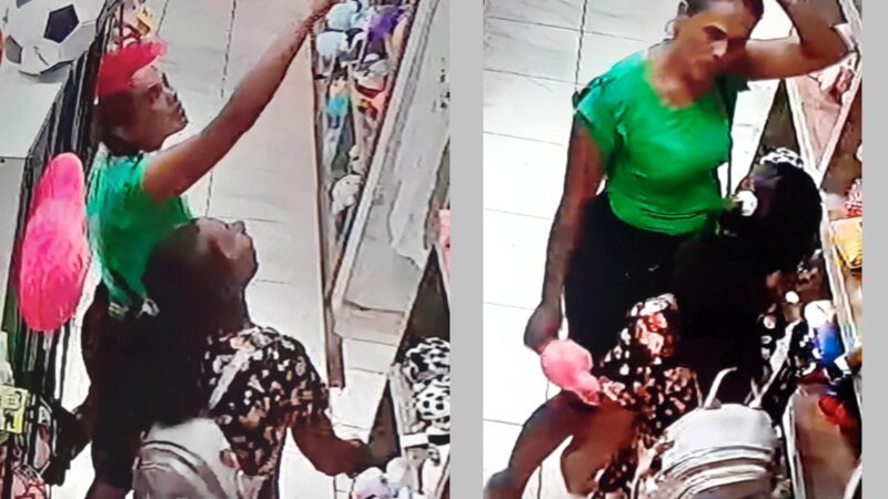 Ladrona usó a una mujer con discapacidad para robar en un bazar del centro de Oberá