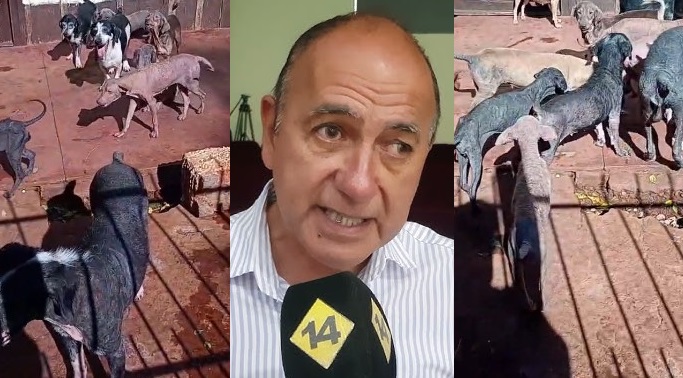 La justicia ordenó que se investigue el accionar del intendente de Guaraní por la desaparición de perros