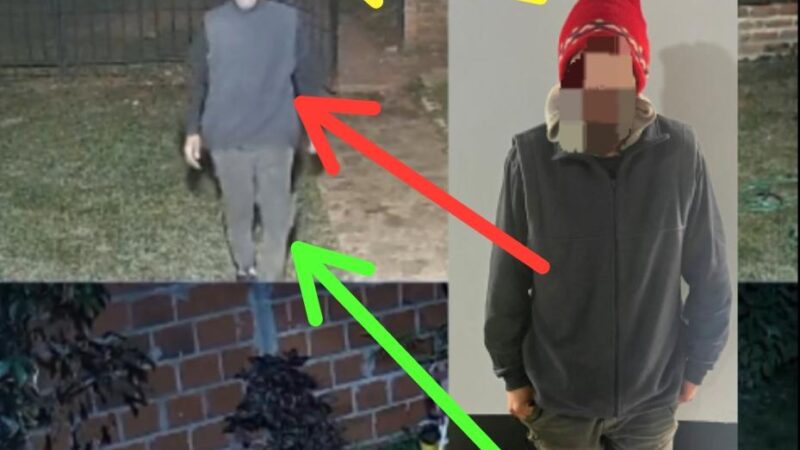 Otra vez “DVD”: quedó grabado robando una bici