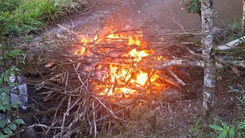 Fueron retirados los restos de un vacuno de un arroyo que nutre la red de agua de Oberá
