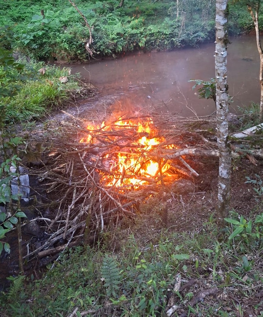 Fueron retirados los restos de un vacuno de un arroyo que nutre la red de agua de Oberá