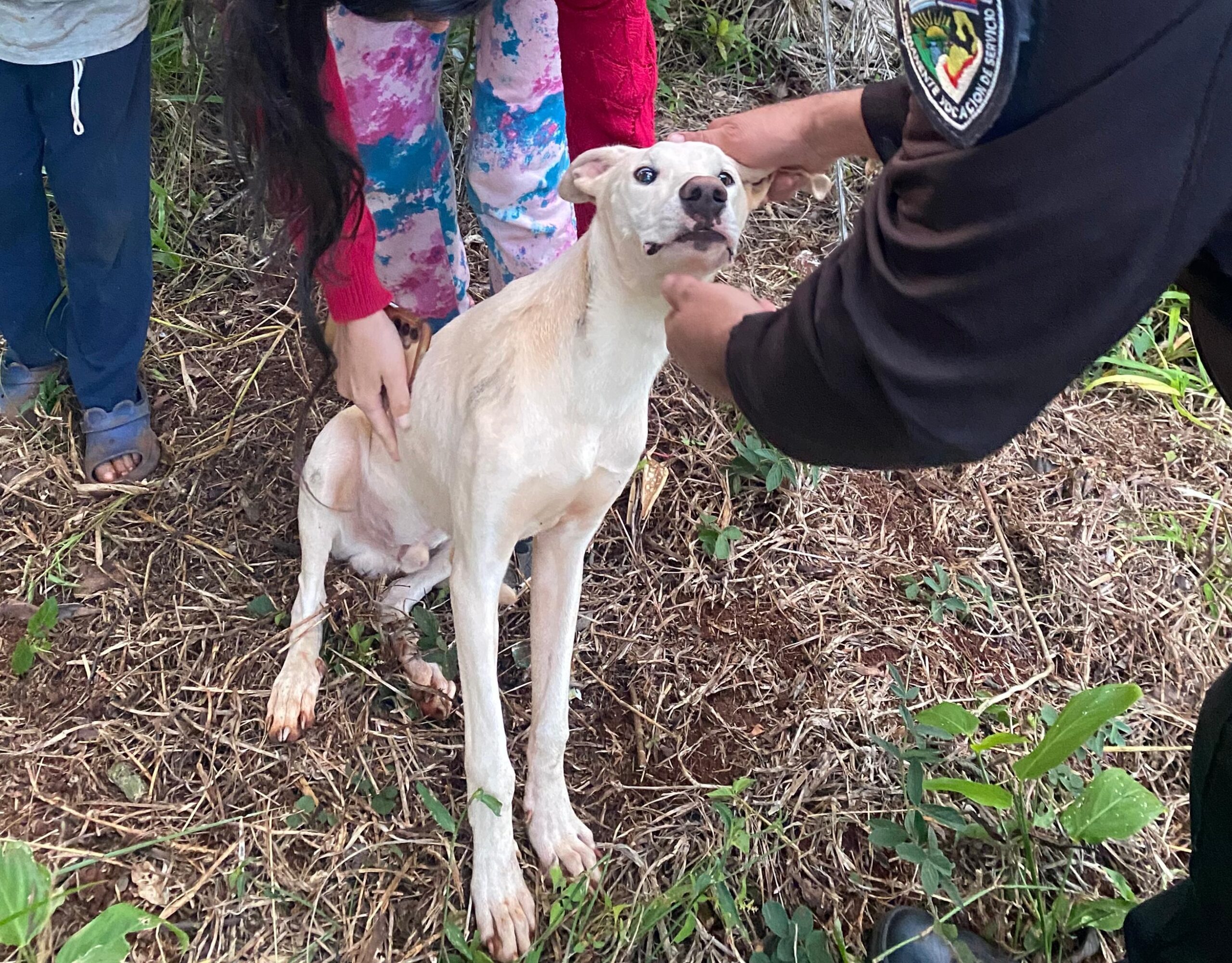 Denunció que no querían devolverle su perro, intervino la policía y lo recuperó