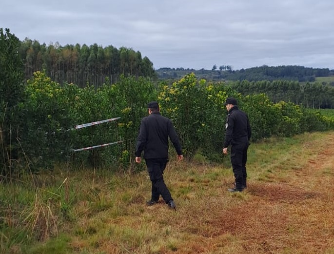 Hallaron muerta a una adolescente de 16 años que estaba desaparecida desde el sábado en Campo Ramón