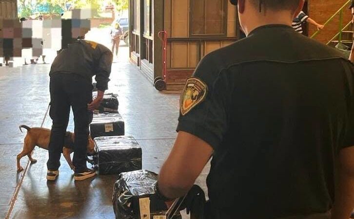 Quisieron mandar una encomienda con más de 1.300 paquetes de cigarrillos de contrabando