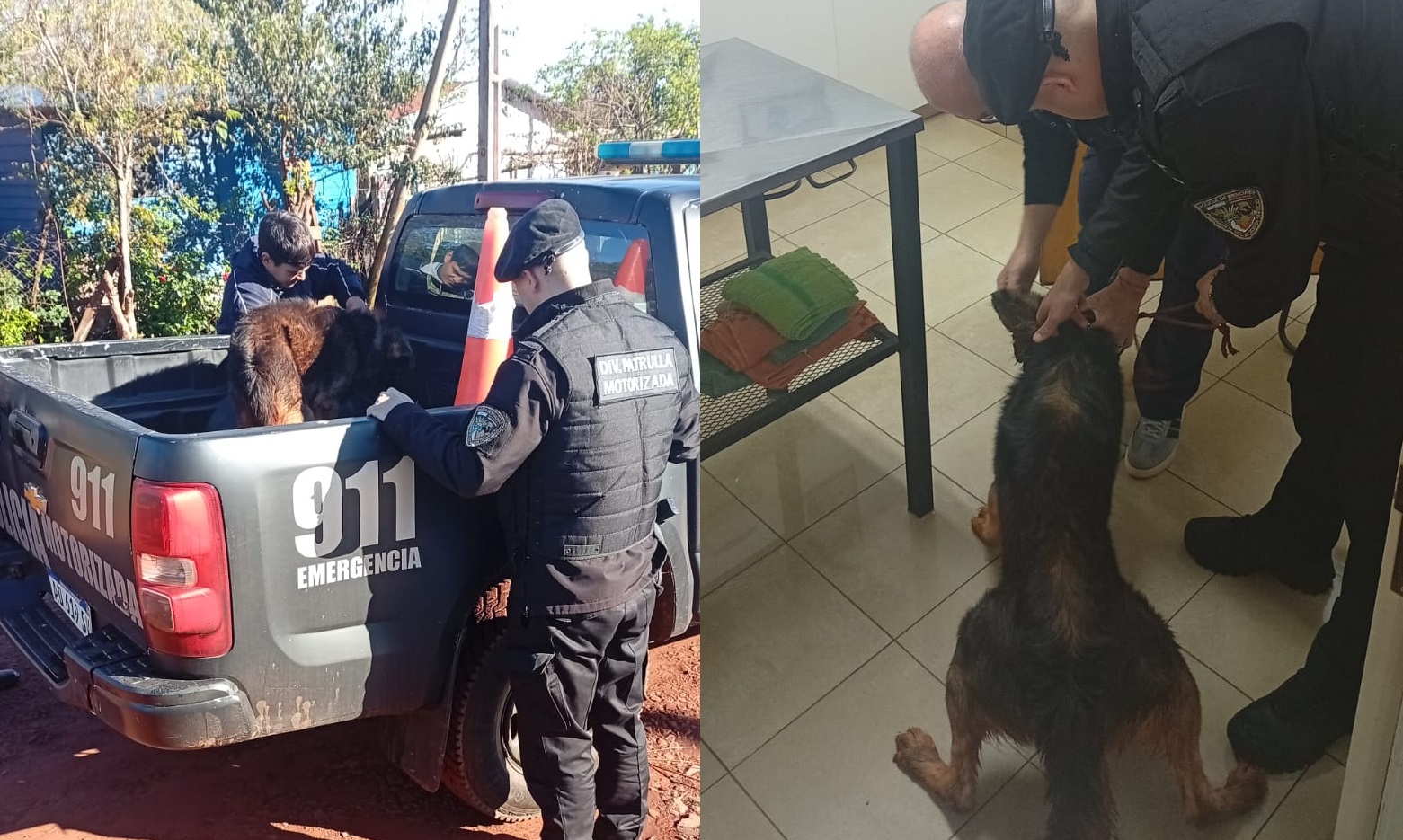 Un gesto que salvó una vida: policías motorizados asistieron a un perro herido en Oberá