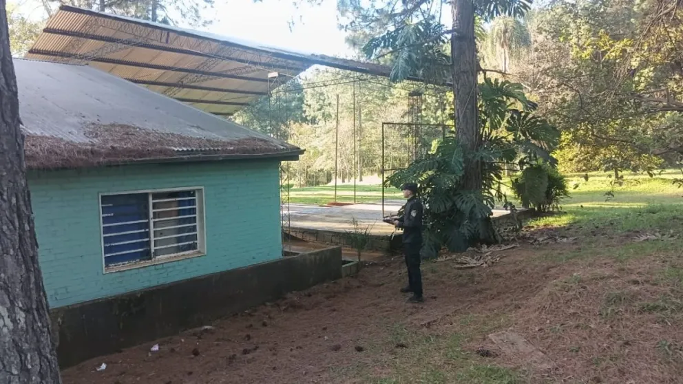 Tragedia en San Antonio: un menor de 13 años murió electrocutado en una escuela