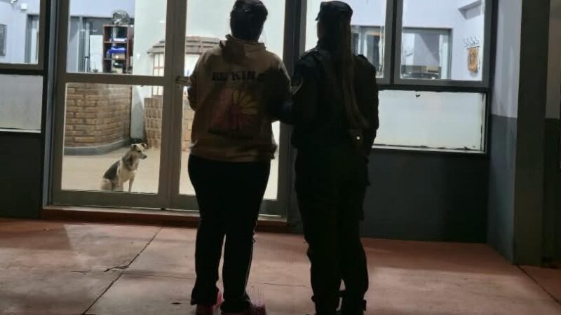 Una mujer fue acusada de asfixiar a su ex pareja en Pueblo Salto