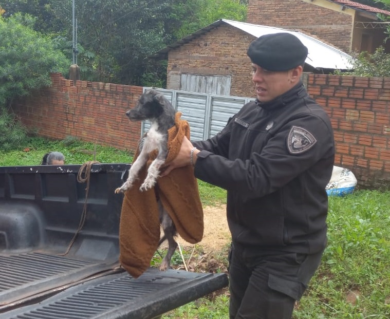 Personal policial rescató a un perro herido y desnutrido