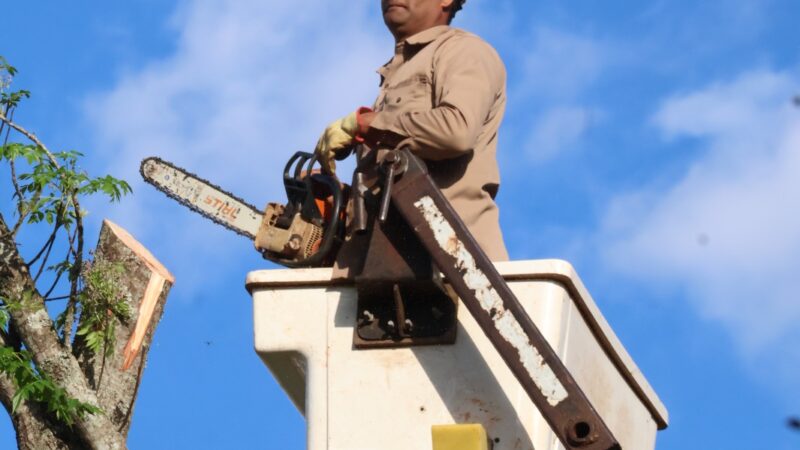La Celo realizó limpieza de la traza del tendido eléctrico en barrio Ecológico
