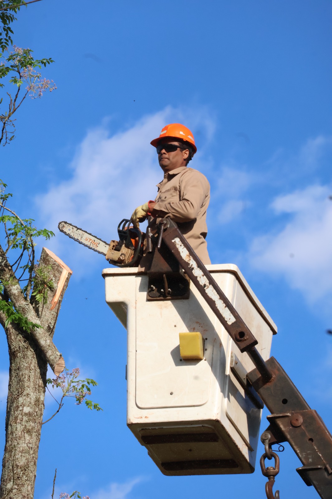 La Celo realizó limpieza de la traza del tendido eléctrico en barrio Ecológico
