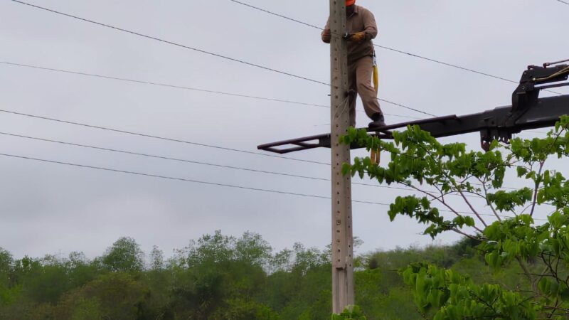 La Celo reemplazó cinco postes de madera por columnas de hormigón en Campo Ramón