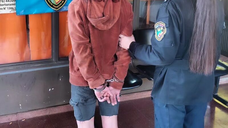 Un sereno de 54 años denunció que una joven de 19 lo sedujo y le robó el celular