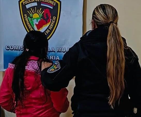 Una mujer apuñaló a su ex y declaró que el hombre quiso raptar a su hija
