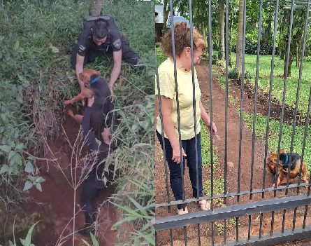 Policías escucharon aullidos durante una recorrida y rescataron a Nano, un perro que había caído a un pozo