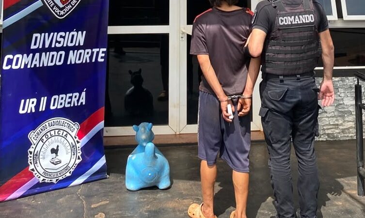 Un caballito azul resultó una pieza clave para identificar a un ladrón