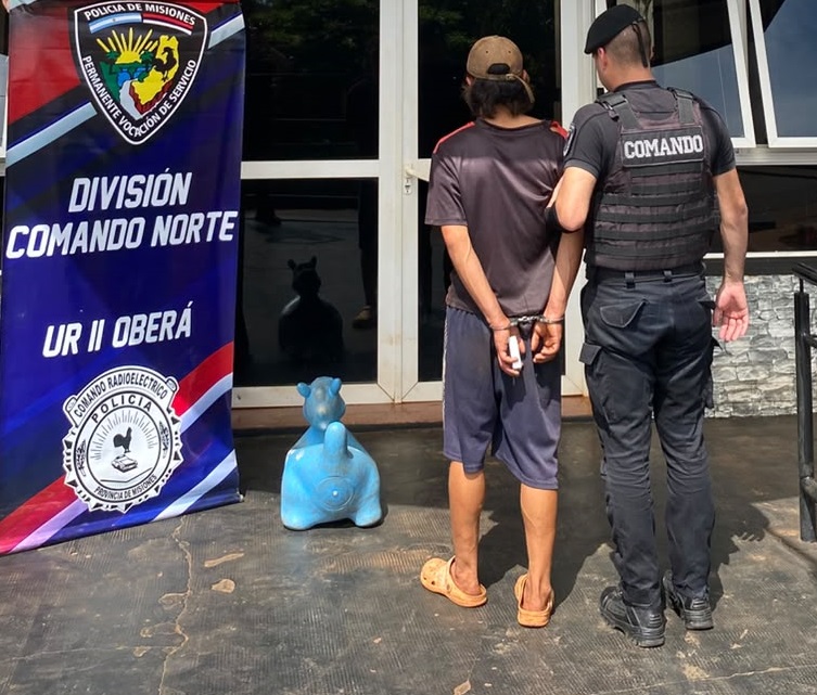 Un caballito azul resultó una pieza clave para identificar a un ladrón