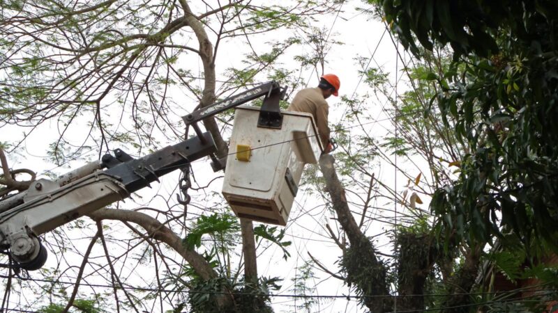 La Celo realiza limpieza de traza en calle Catamarca y avenidas Tucumán y José Ingenieros